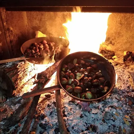 Quarto em Acomodações Particulares La *